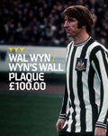 WAL WYN / WYN'S WALL - Commemorative Wall Plaque