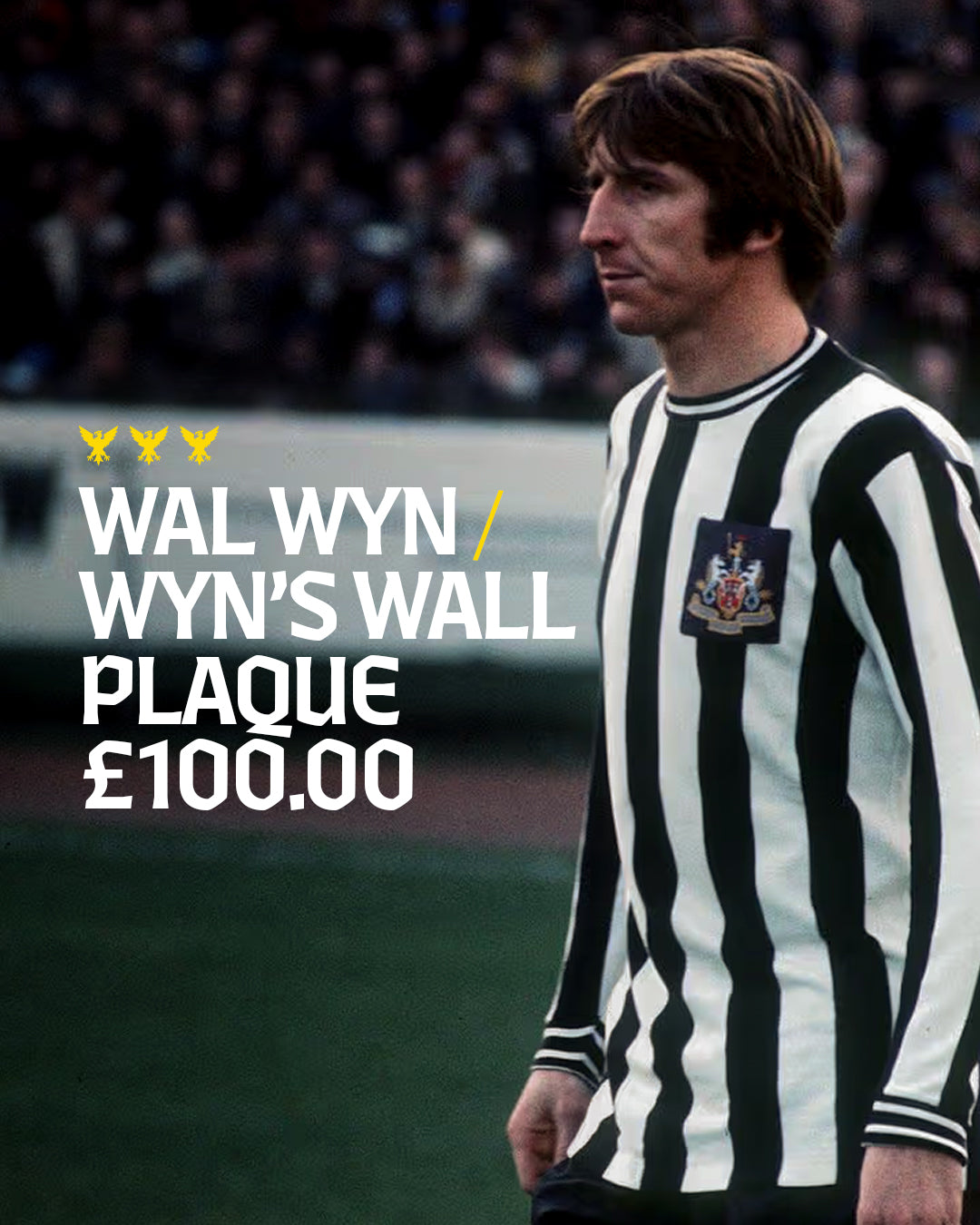 WAL WYN / WYN'S WALL - Commemorative Wall Plaque