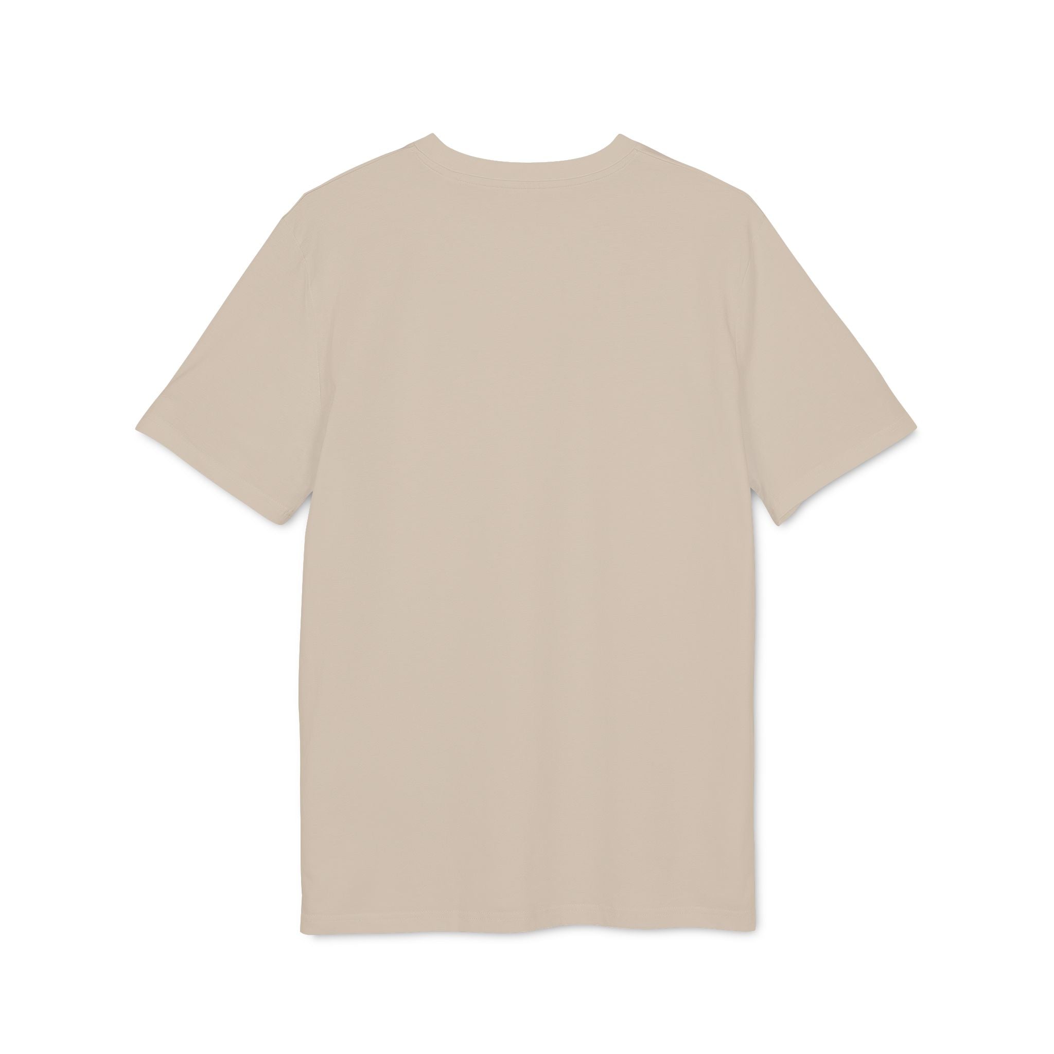 'DRAIG DRE' T-Shirt