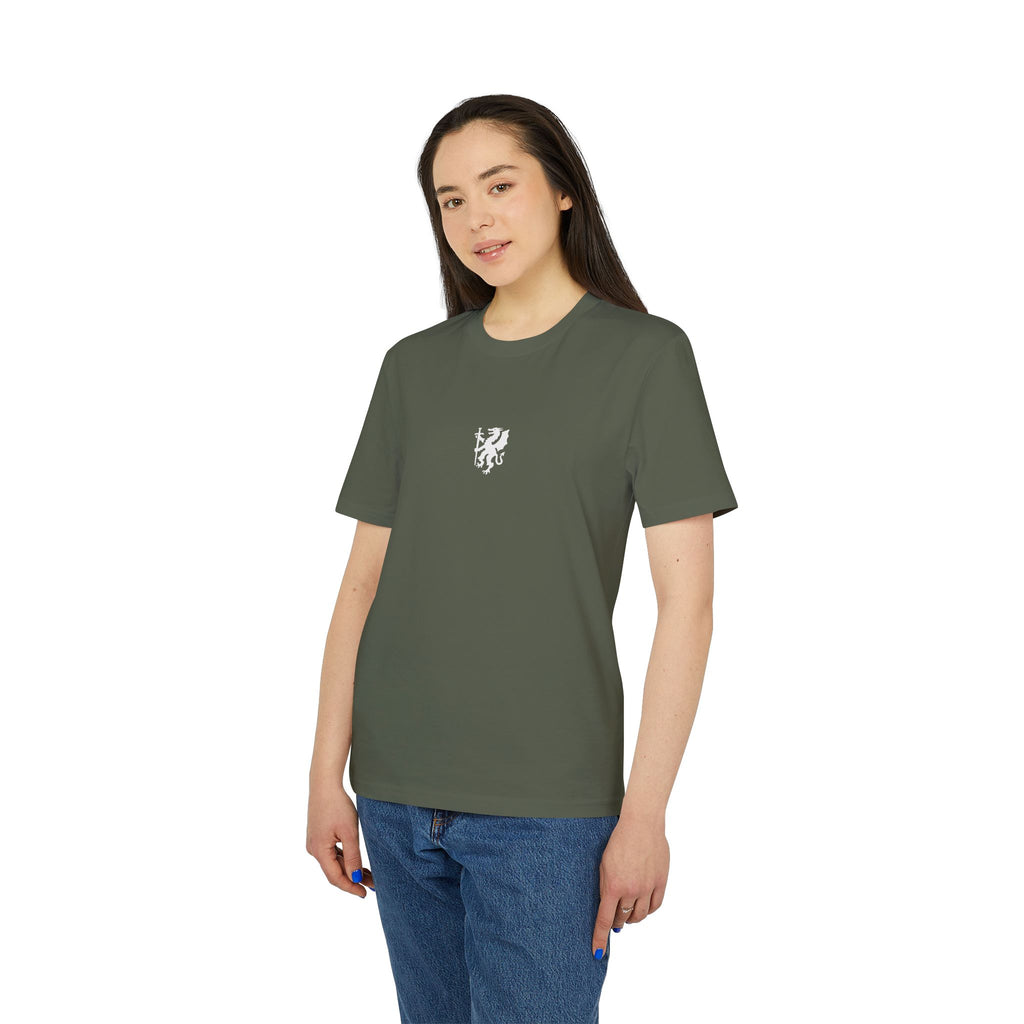 'DRAIG DRE' T-Shirt