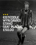 EISTEDDLE WYN DAVIES / WYN DAVIES STAND - Seat Plaque