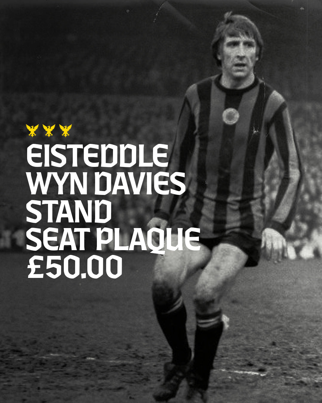 EISTEDDLE WYN DAVIES / WYN DAVIES STAND - Seat Plaque